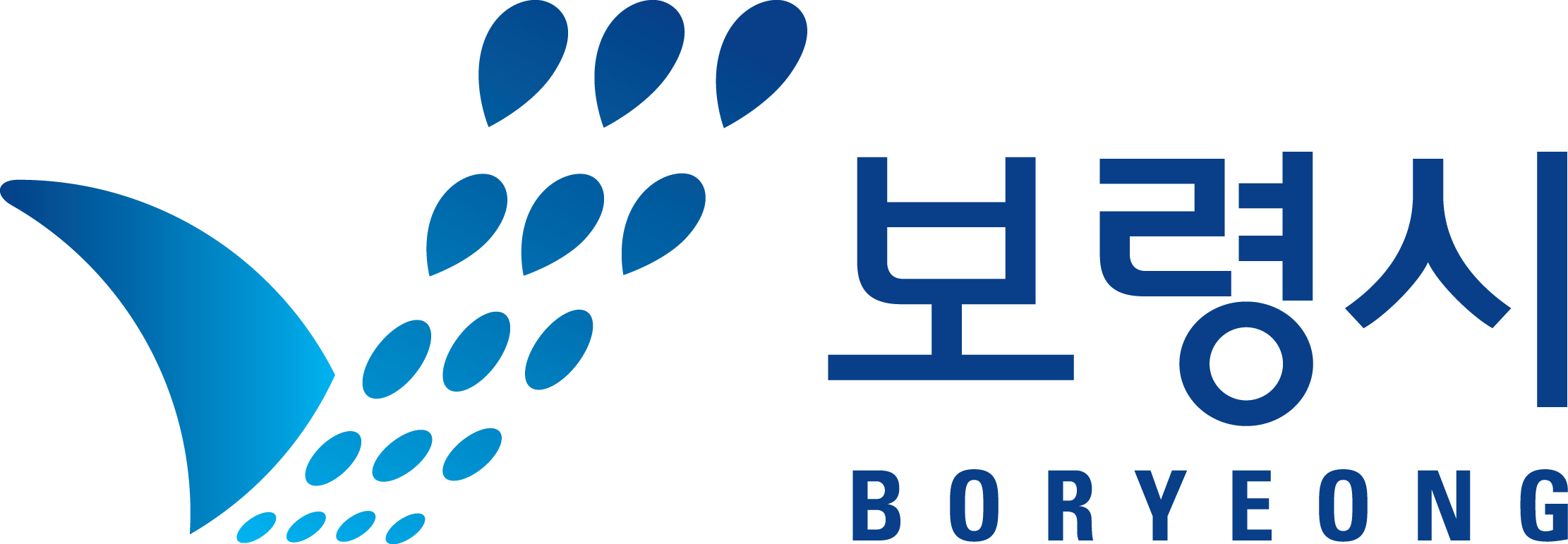 보령시빅데이터시각화서비스